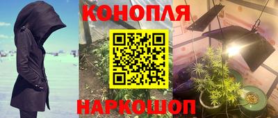 винт Шелехов