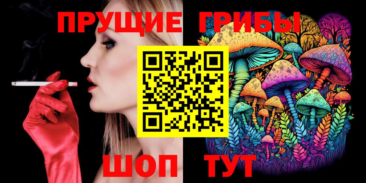 Галлюциногенные грибы Psilocybe  Вход с VPN  Норильск 